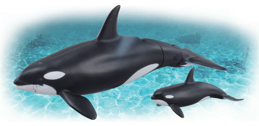 Amazon.co.jp: アニア AL-08 シャチ親子 : おもちゃ